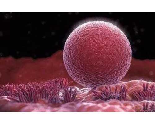 国内供卵的机构有哪些医院,厦门三代试管条件正规医院比较新排名