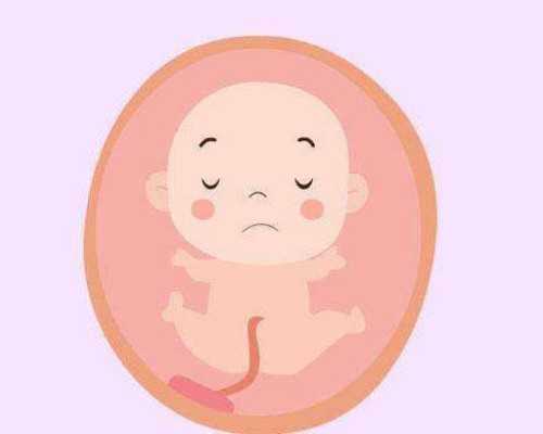 国内供卵的费用是多少,妇保医院做三代试管吗好吗