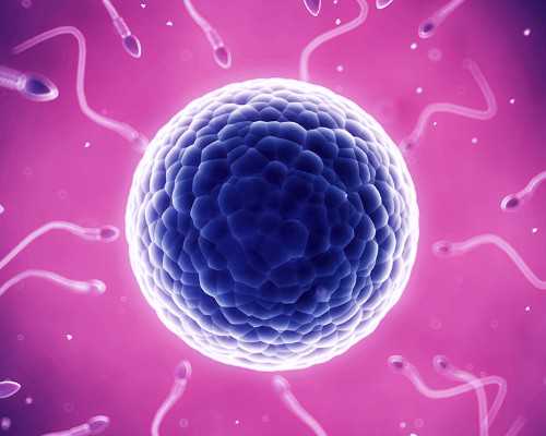 国内正规供卵医院有哪些,忻州私立医院做三代试管一般多少钱