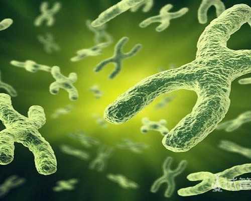 国内最可靠代怀孕,三代试管婴儿都需要检查什么，三代试管有要求吗