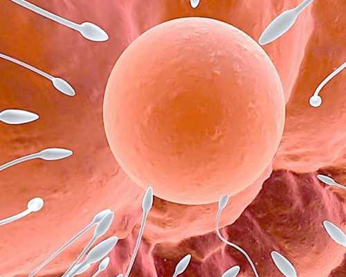 国内单身男找代生,泰州第三代试管婴儿医院排名前十榜单